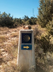 Camino